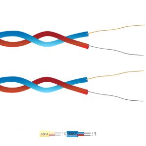 Tipo T PFA Isolato Twin Twisted Coppia Cavo / Cavo (ANSI)